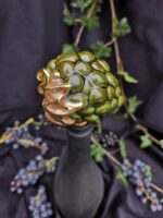 The Vineyard Charm: Wine Cork Shaped like a Grape - Mossy green color - Image 2